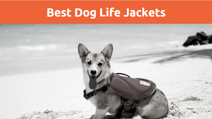 Best Dog Life Jackets