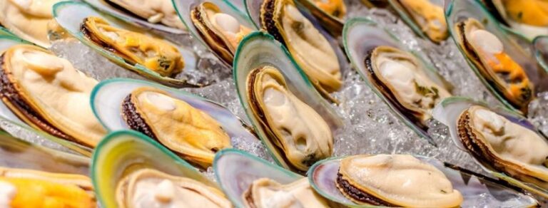 Clams vs Mussels Best 10 Main Differences Explained